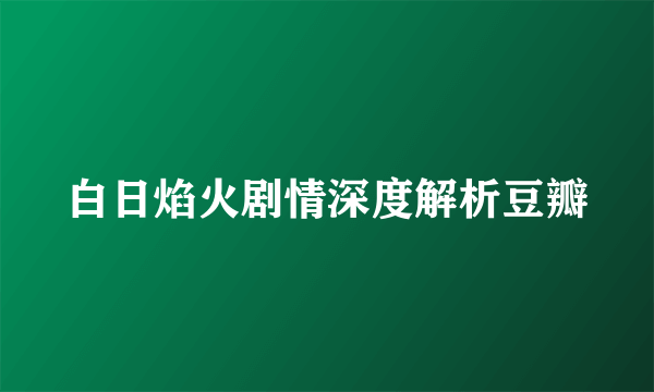 白日焰火剧情深度解析豆瓣