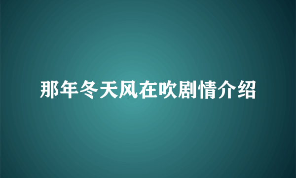 那年冬天风在吹剧情介绍