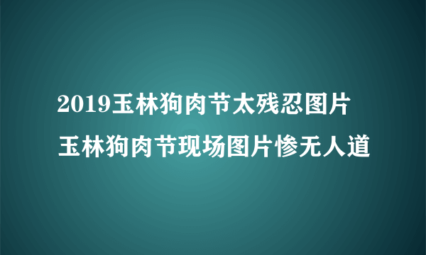 2019玉林狗肉节太残忍图片 玉林狗肉节现场图片惨无人道