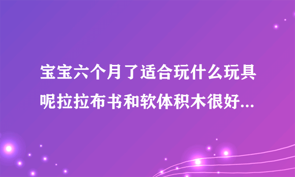 宝宝六个月了适合玩什么玩具呢拉拉布书和软体积木很好...