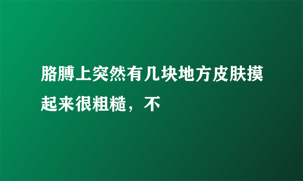 胳膊上突然有几块地方皮肤摸起来很粗糙，不