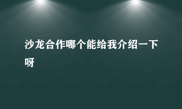 沙龙合作哪个能给我介绍一下呀