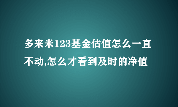 多来米123基金估值怎么一直不动,怎么才看到及时的净值