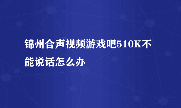 锦州合声视频游戏吧510K不能说话怎么办