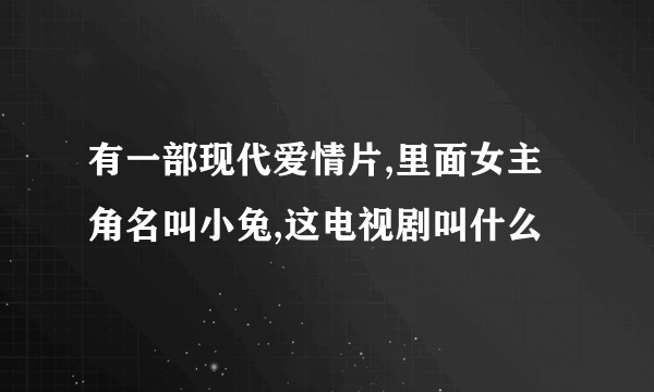 有一部现代爱情片,里面女主角名叫小兔,这电视剧叫什么