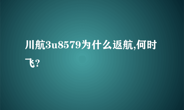 川航3u8579为什么返航,何时飞?