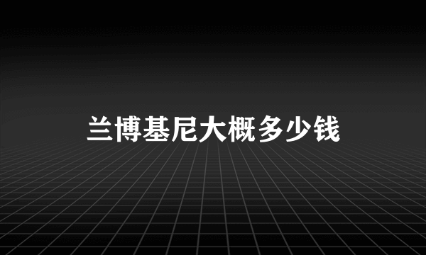 兰博基尼大概多少钱