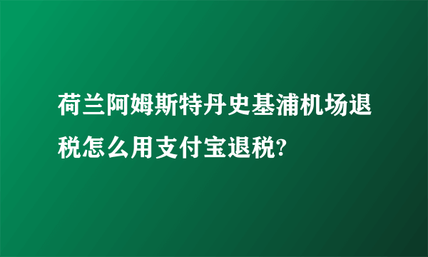 荷兰阿姆斯特丹史基浦机场退税怎么用支付宝退税?