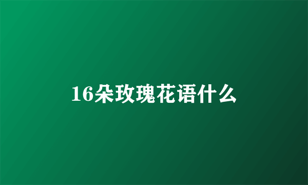 16朵玫瑰花语什么