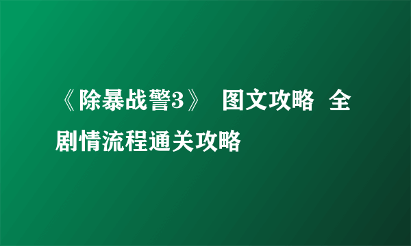 《除暴战警3》  图文攻略  全剧情流程通关攻略