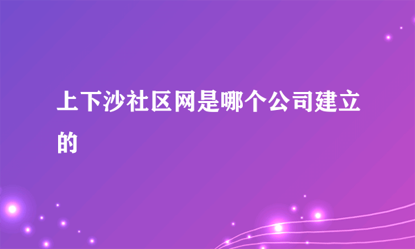 上下沙社区网是哪个公司建立的