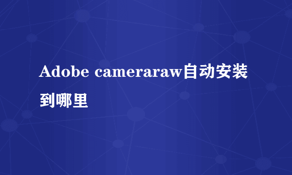 Adobe cameraraw自动安装到哪里