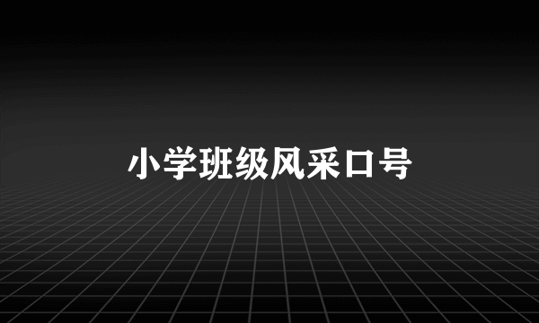 小学班级风采口号