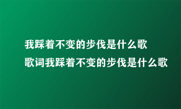 我踩着不变的步伐是什么歌 歌词我踩着不变的步伐是什么歌