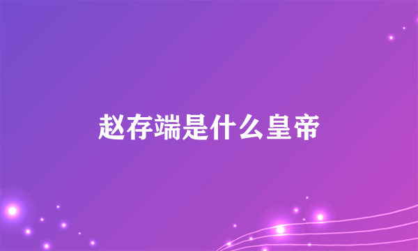 赵存端是什么皇帝