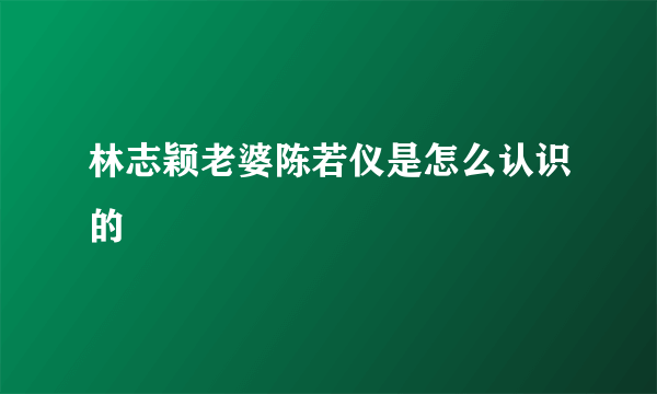 林志颖老婆陈若仪是怎么认识的