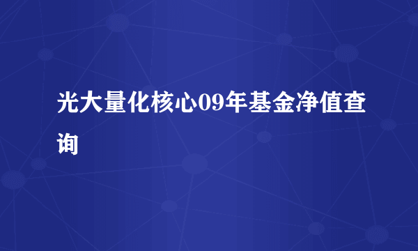 光大量化核心09年基金净值查询