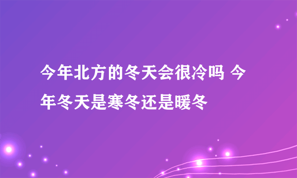 今年北方的冬天会很冷吗 今年冬天是寒冬还是暖冬