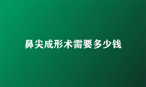 鼻尖成形术需要多少钱