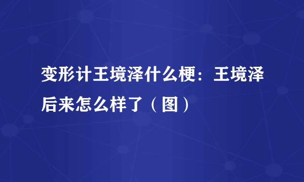 变形计王境泽什么梗：王境泽后来怎么样了（图）