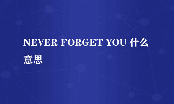 NEVER FORGET YOU 什么意思