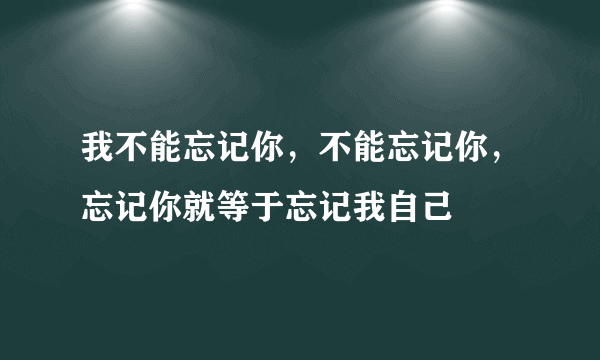 我不能忘记你，不能忘记你，忘记你就等于忘记我自己