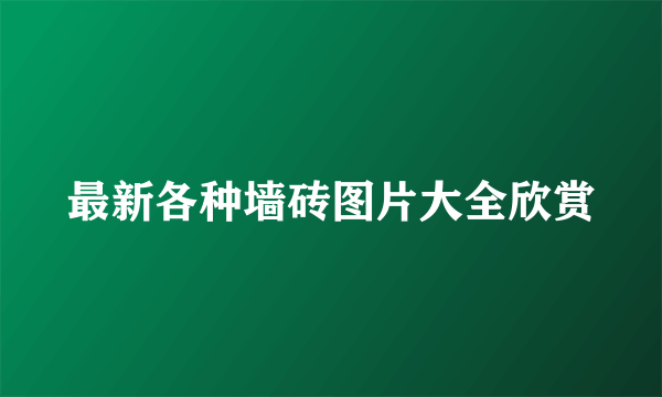 最新各种墙砖图片大全欣赏