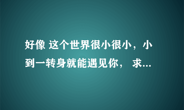 好像 这个世界很小很小，小到一转身就能遇见你， 求一整句！完了采纳回答