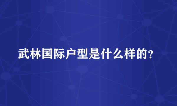 武林国际户型是什么样的？