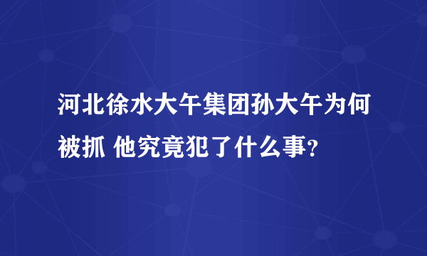 河北徐水大午集团孙大午为何被抓 他究竟犯了什么事？