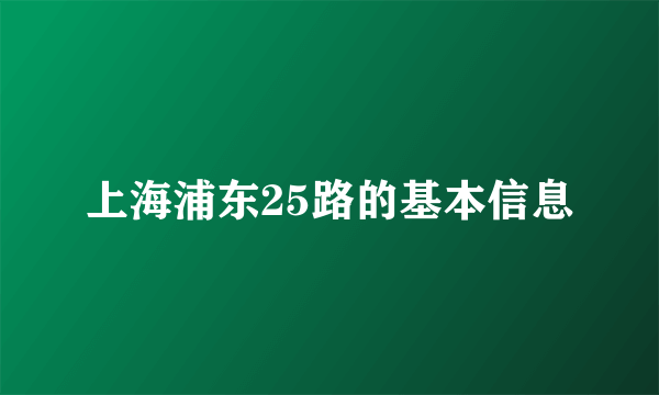 上海浦东25路的基本信息