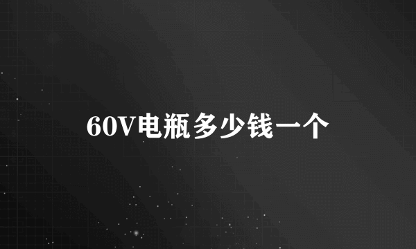 60V电瓶多少钱一个