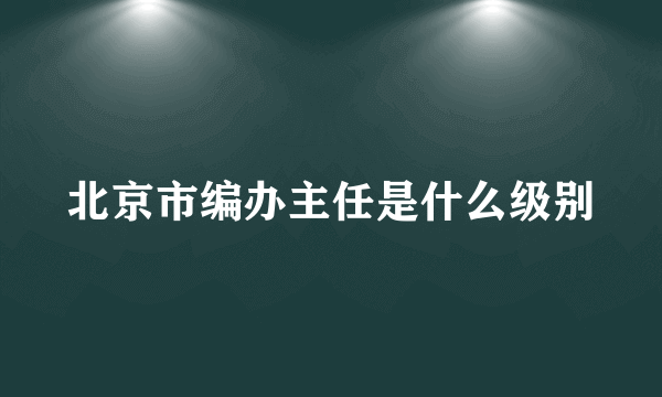 北京市编办主任是什么级别