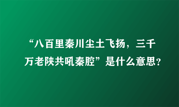 “八百里秦川尘土飞扬，三千万老陕共吼秦腔”是什么意思？