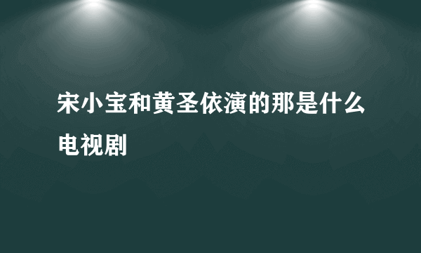 宋小宝和黄圣依演的那是什么电视剧