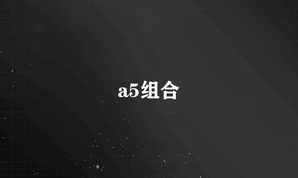 a5组合