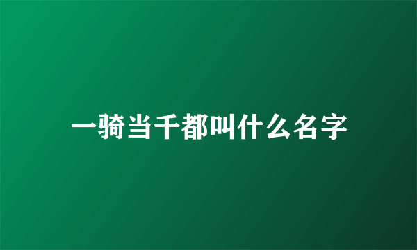 一骑当千都叫什么名字