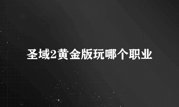 圣域2黄金版玩哪个职业