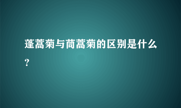 蓬蒿菊与茼蒿菊的区别是什么？