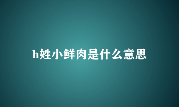 h姓小鲜肉是什么意思