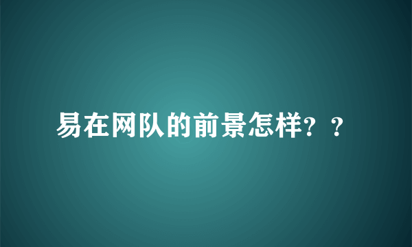 易在网队的前景怎样？？