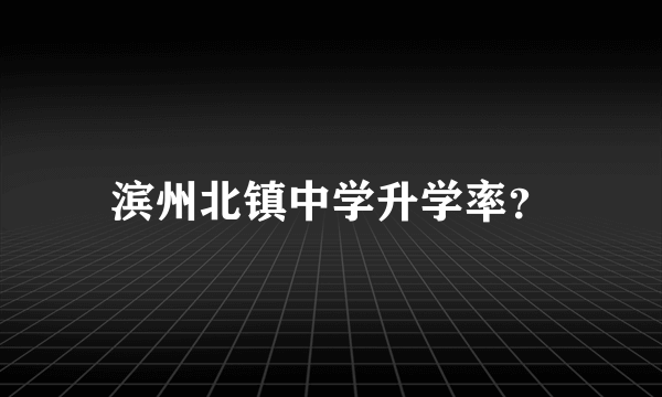 滨州北镇中学升学率？