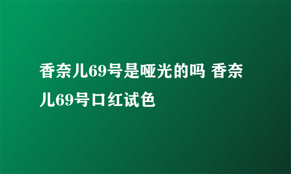 香奈儿69号是哑光的吗 香奈儿69号口红试色