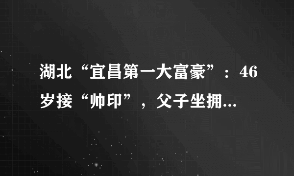 湖北“宜昌第一大富豪”：46岁接“帅印”，父子坐拥115亿财富