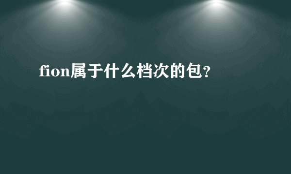 fion属于什么档次的包？