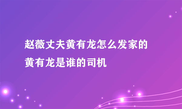 赵薇丈夫黄有龙怎么发家的 黄有龙是谁的司机