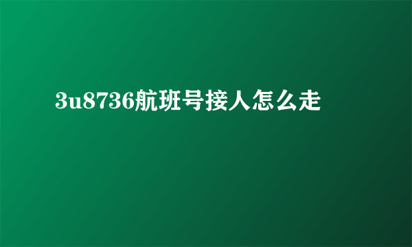 3u8736航班号接人怎么走