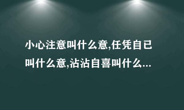 小心注意叫什么意,任凭自已叫什么意,沾沾自喜叫什么意,任意忘为叫什么意,心情爽快叫什么意,心术不正叫什么意?