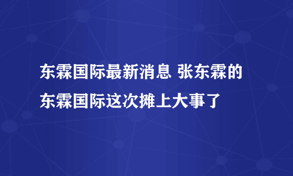 东霖国际最新消息 张东霖的东霖国际这次摊上大事了