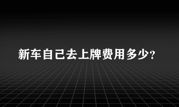 新车自己去上牌费用多少？